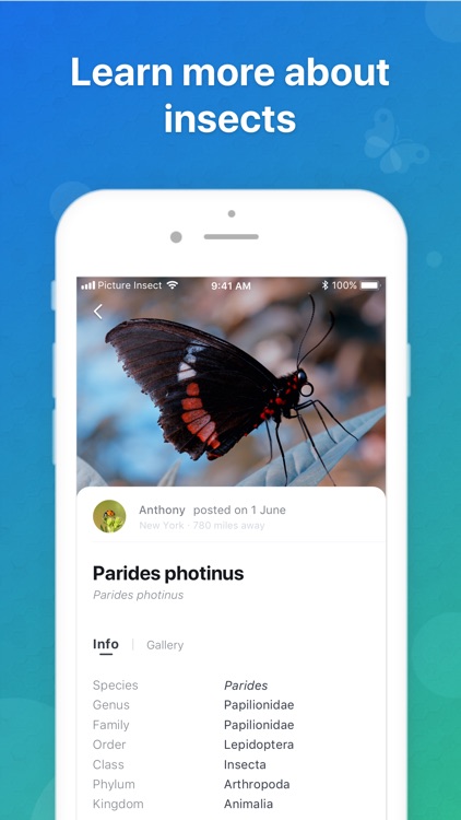 Picture Insect - Insect Id Pro