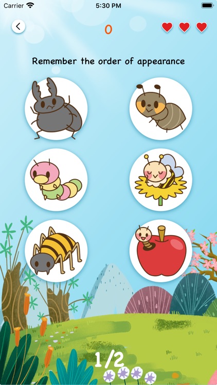 Insect Card Collection