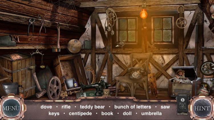 Time Machine - Hidden Object screenshot-5