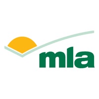 MLA VR