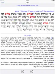 esh shulhan aruch iPad Captures Décran 1