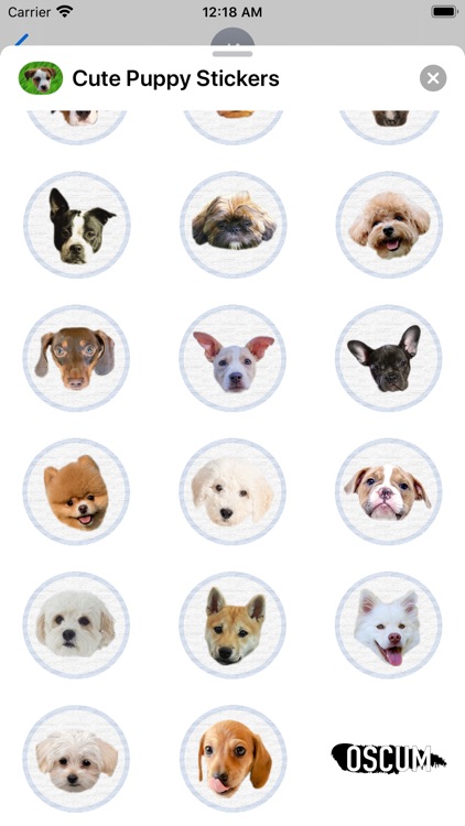 Cute Puppy - Stickers screenshot-3