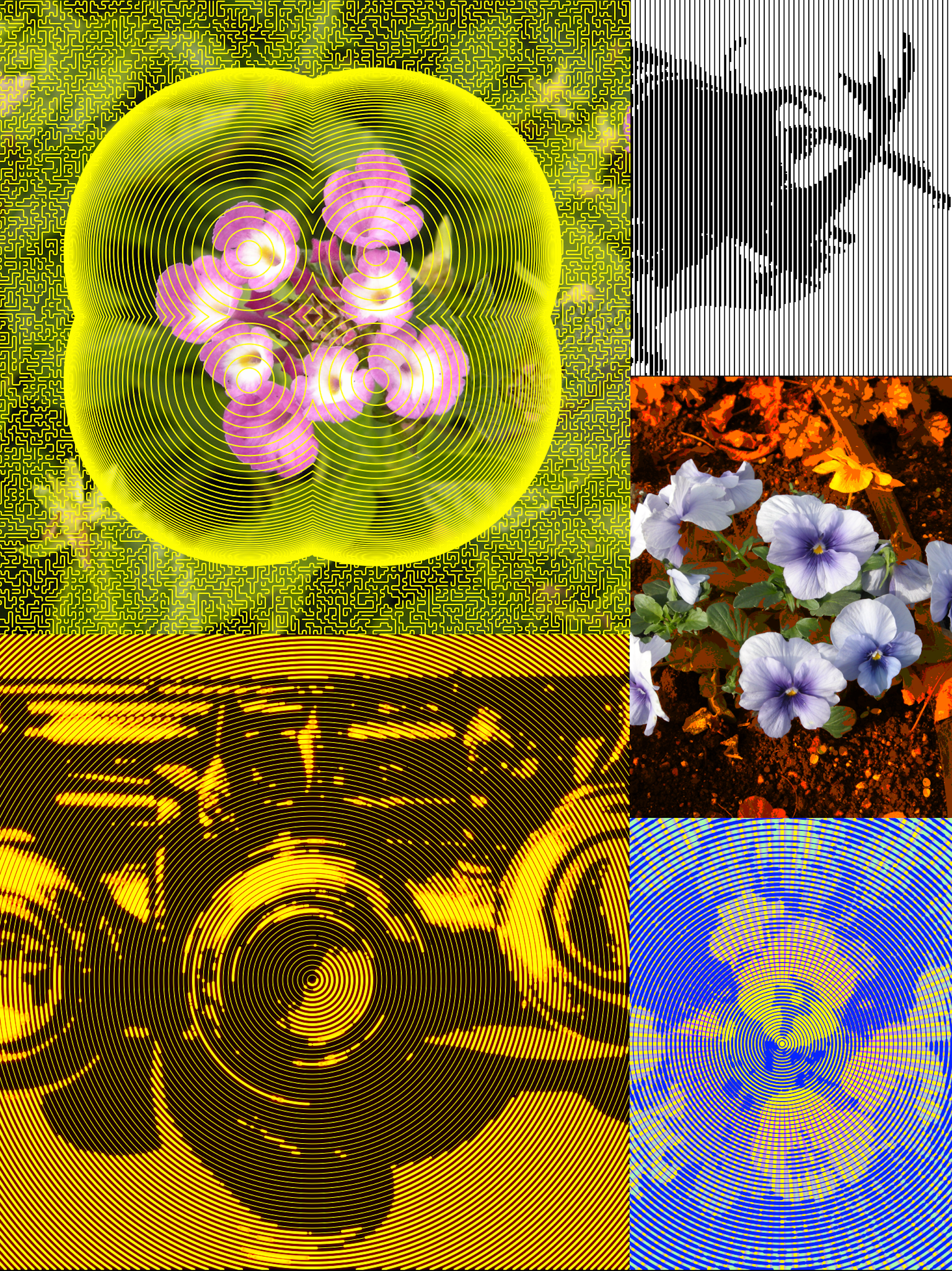 PosterizeImager