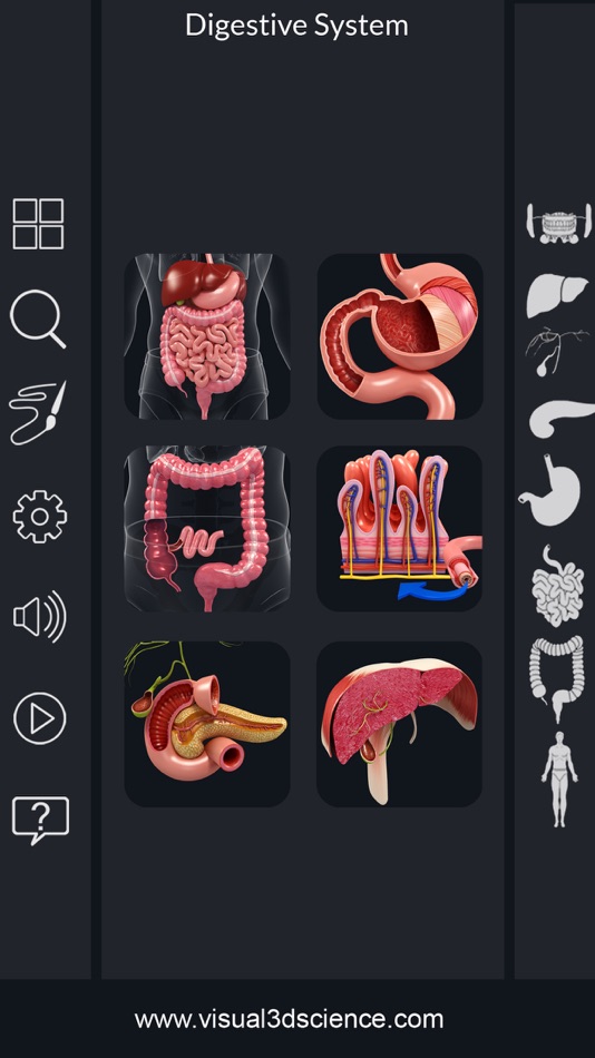 My Digestive System Anatomy - Digestive System Anatomy 1.3 - (iOS)