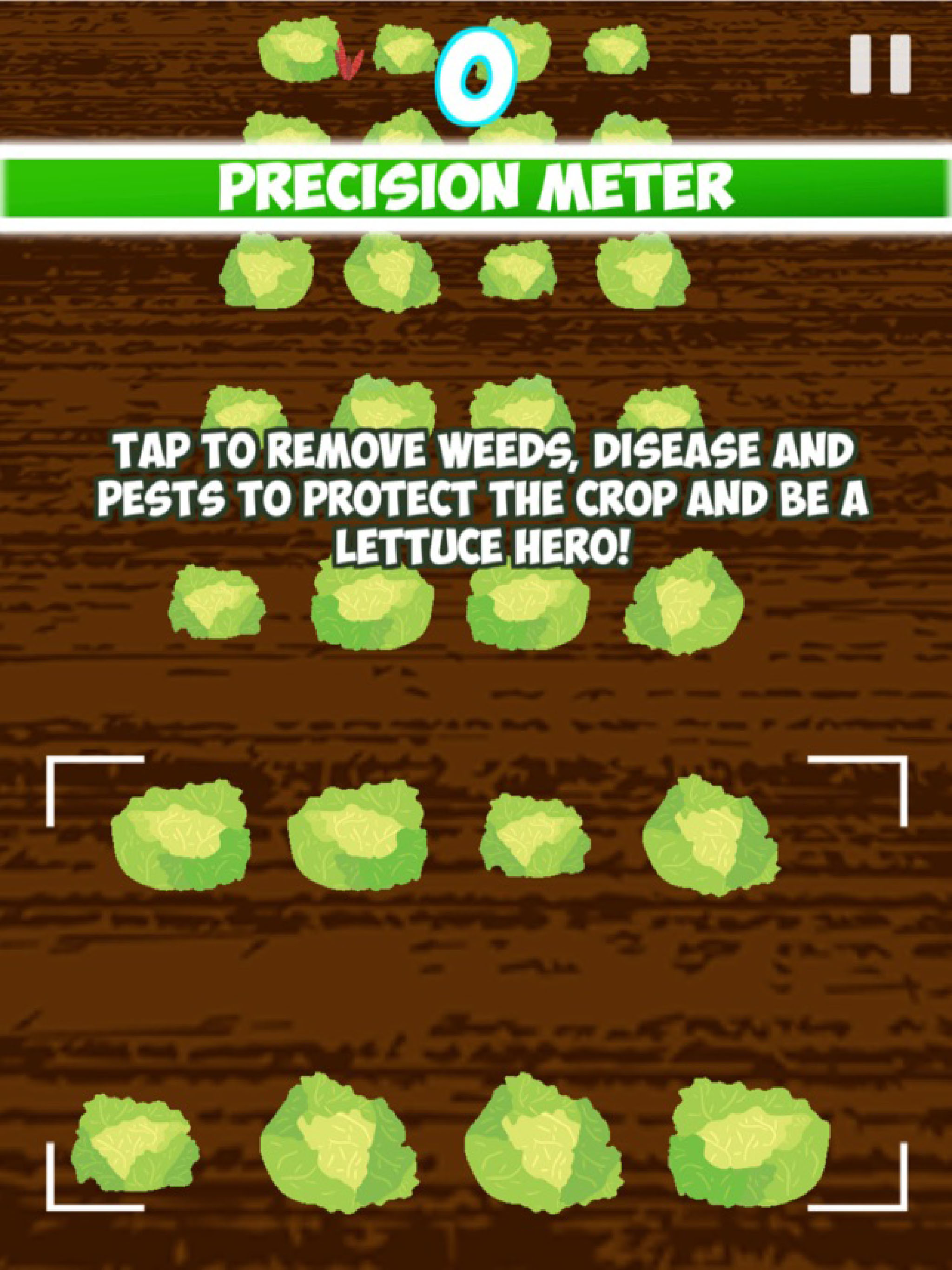Lettuce Hero!