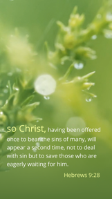Daily Bible Meditation screenshot