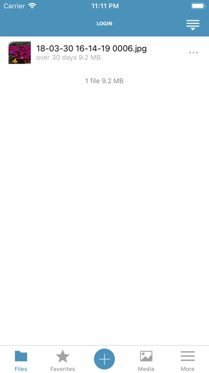 Pioneiro Contabilidade