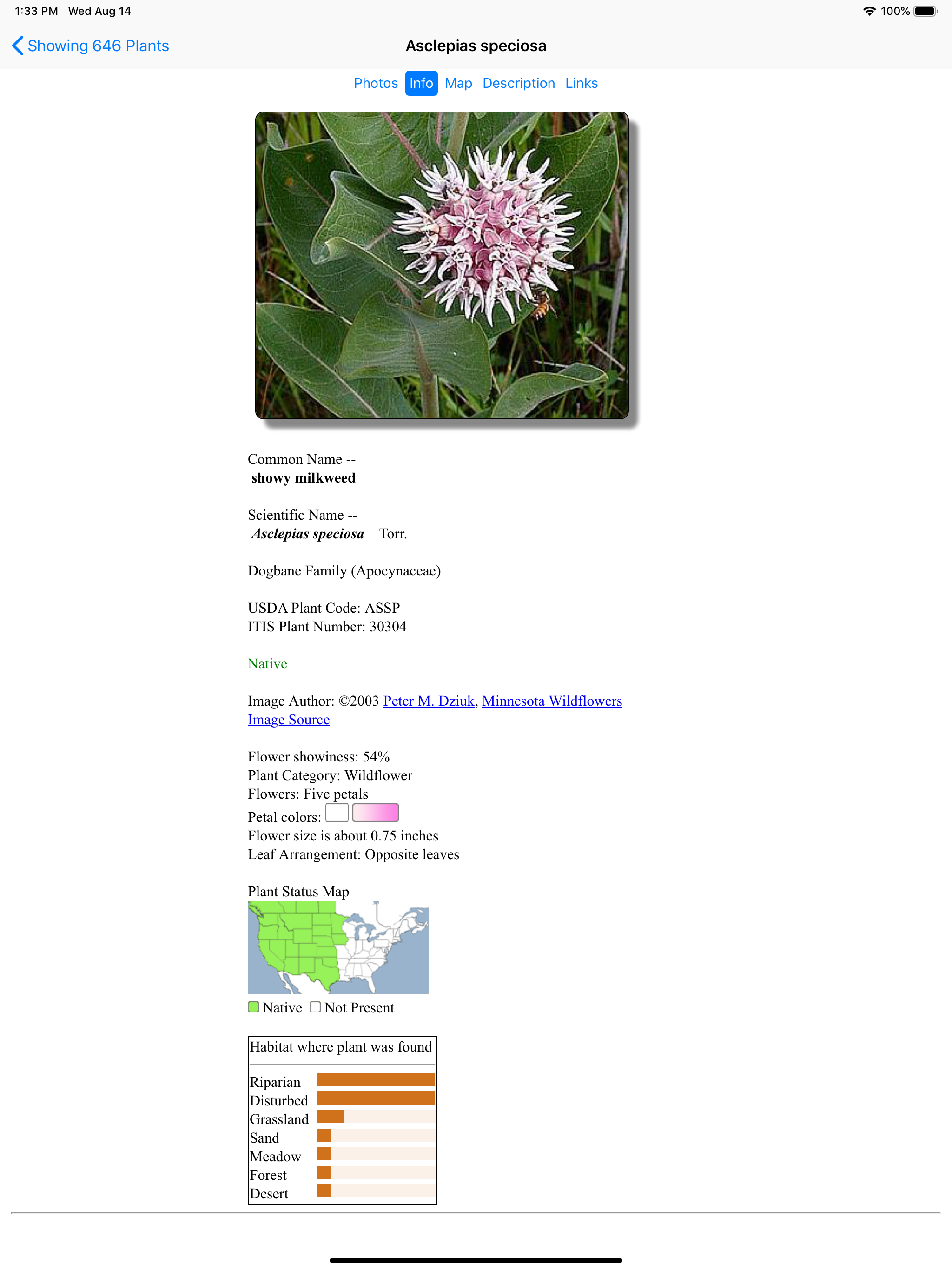 Utah Wildflowers