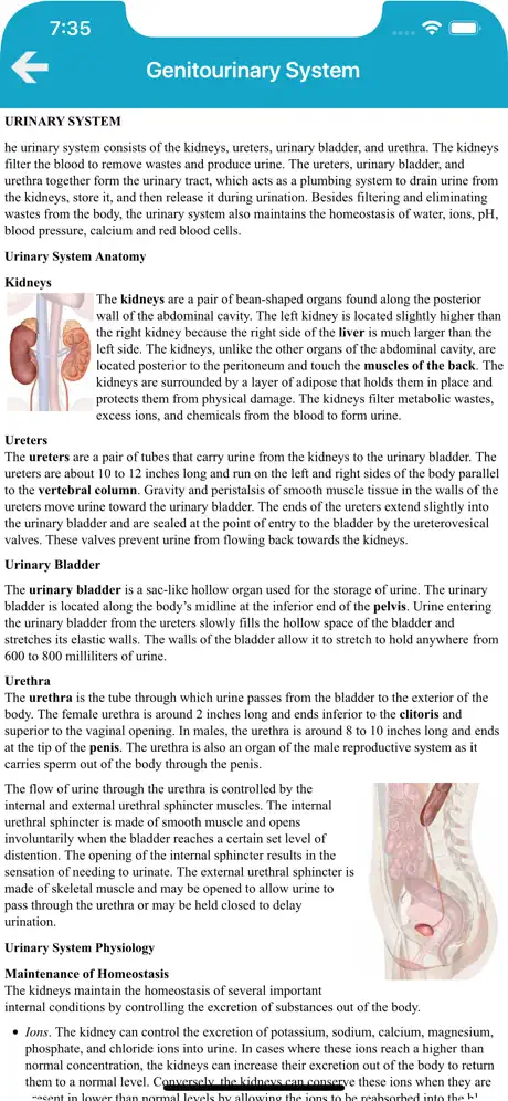 The Human Body Systems