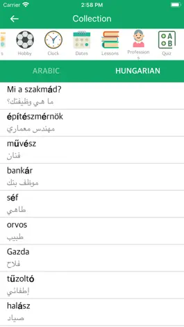 Game screenshot Arabic Hungarian Dictionary apk