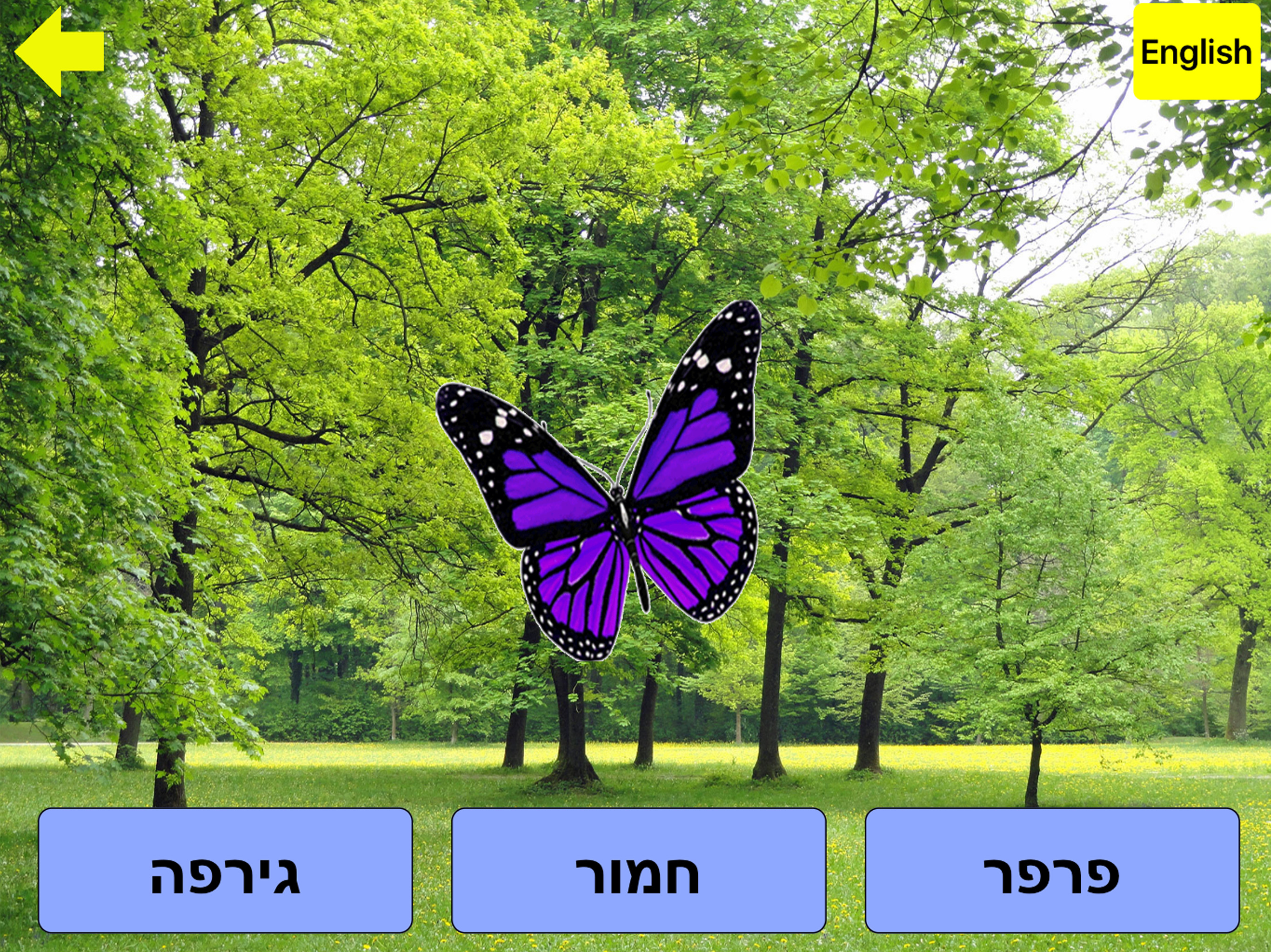 חיות ולומדים