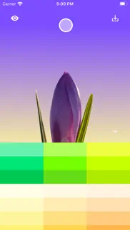 flower wallpaper maker iphone screenshot 1