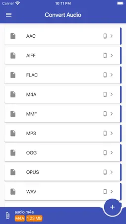 Convert Audio screenshot 1