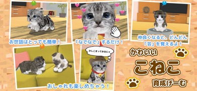 かわいい こねこ育成げーむ スクリーンショット