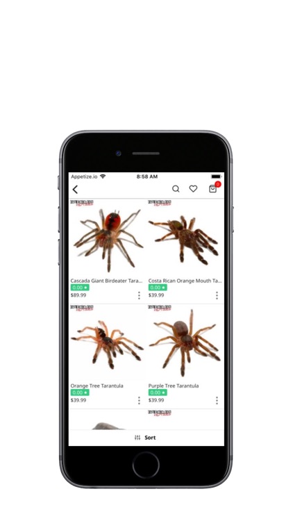 Underground Reptiles