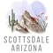 Make finding your dream home in the greater Scottsdale and surrounding areas a reality with the Scottsdale Arizona Homes app