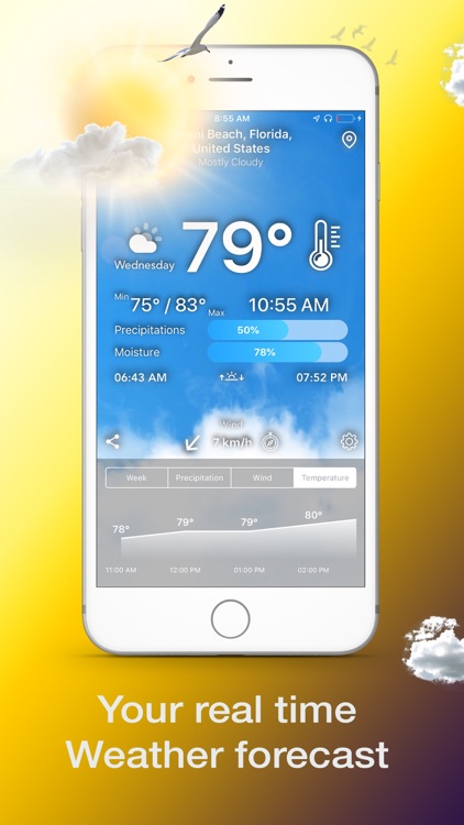 Weather and hurricane tracker
