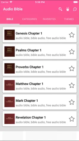 Game screenshot Audio Bible - King James Bible hack