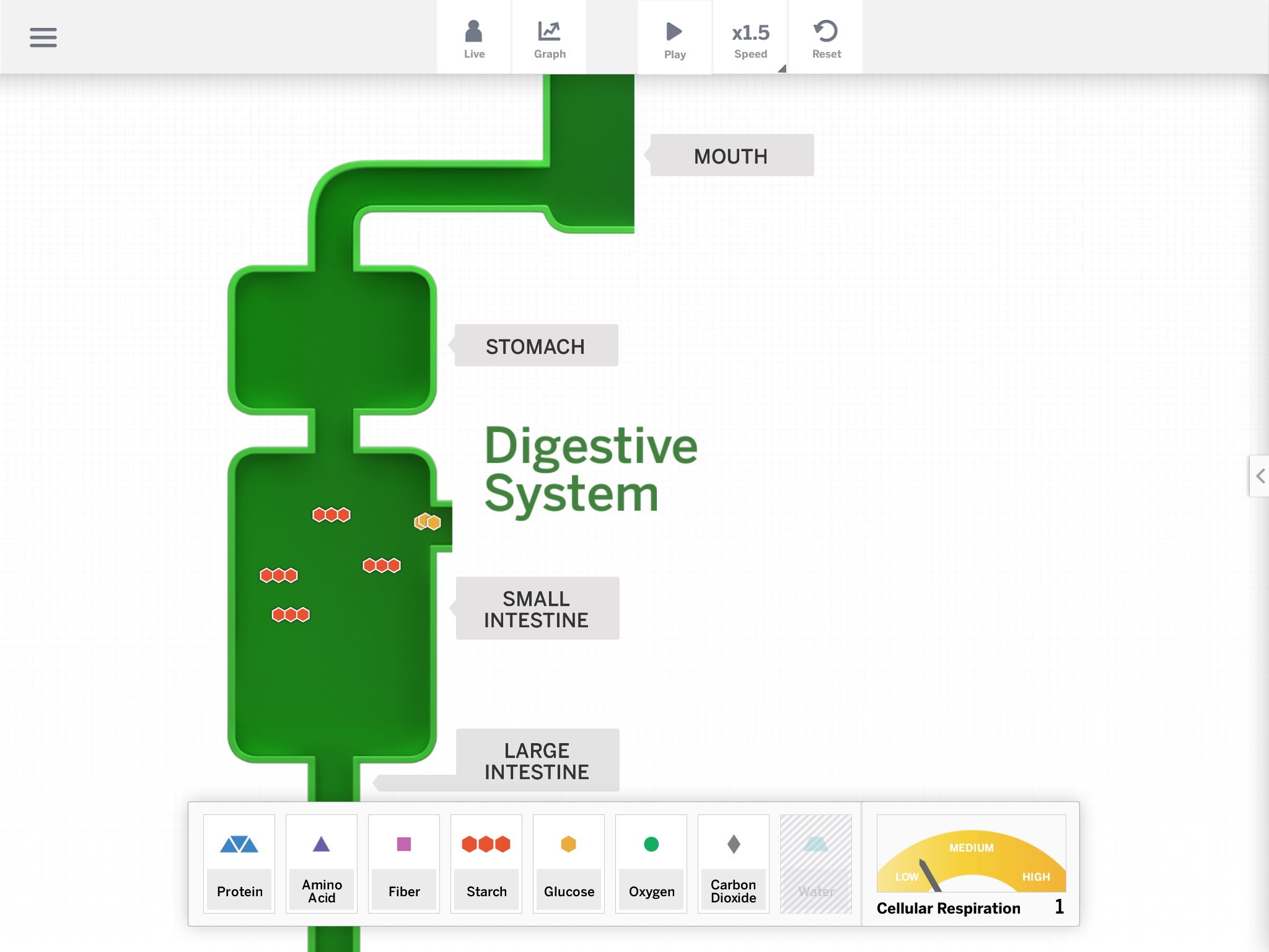 Metabolism Sim screenshot 2