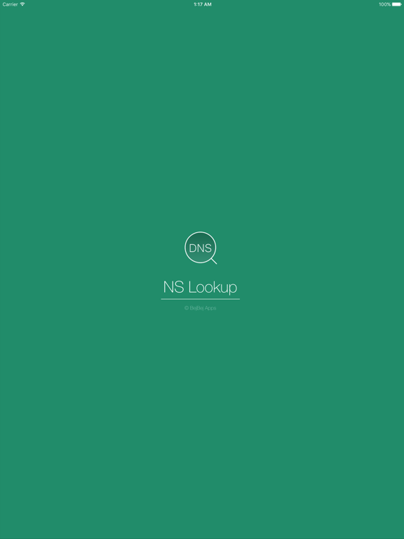Screenshot #4 pour NSLookup