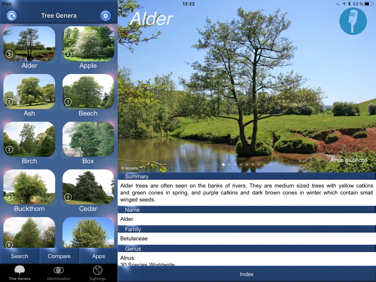 iPad screenshot