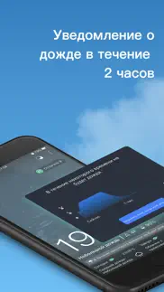 Погода pro-погода на экране айфон картинки 2