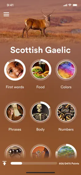 Game screenshot Learn Scottish Gaelic mod apk