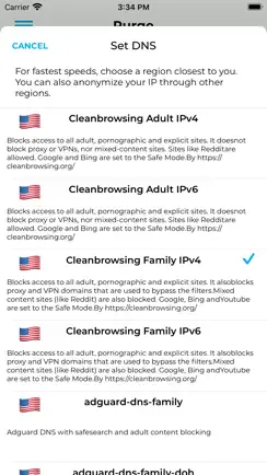 Purge: Porn Blocker & Safe DNS iPhone image 2