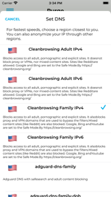 Purge: Porn Blocker & Safe DNS screenshot