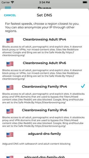 Purge: Porn Blocker & Safe DNS screenshot 2