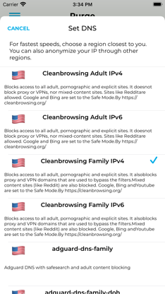 Purge: Porn Blocker & Safe DNS screenshot 2