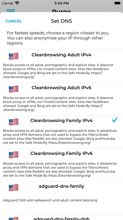 Purge: Porn Blocker & Safe DNS