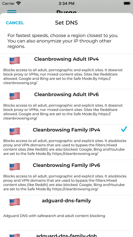 Purge: Porn Blocker & Safe DNS screenshot 2 of 6