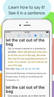 idioms and slang dictionary iphone screenshot 3