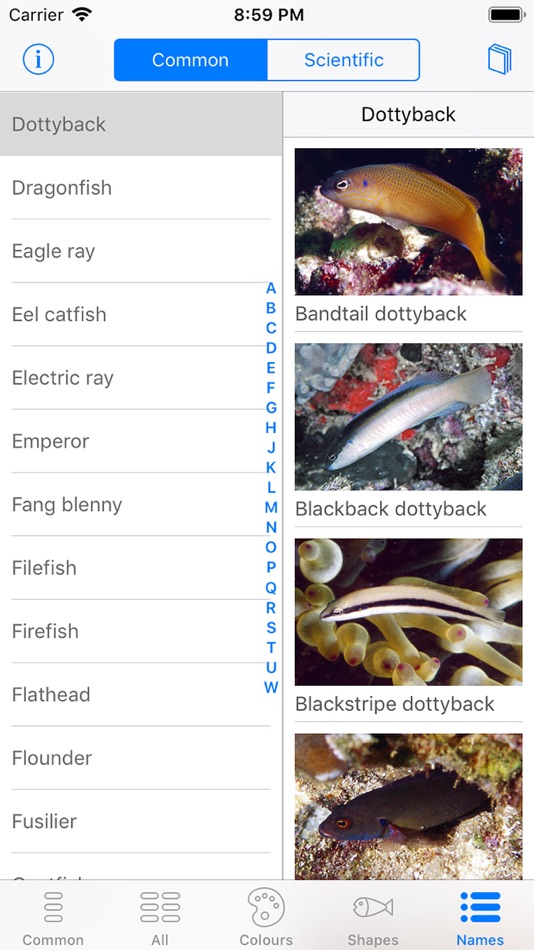 #10. Oman Fish ID (iOS) 由: John P. Hoover