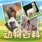 This is a part of a series of Chinese studying tools aimed at learning the words about the animals, we have not specifically translated it into other languages, just wish you  learn Chinese in the real Chinese environment , to learn any language , the most important is  to look  himself as a child,As we know, the child is