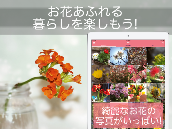 花・植物好きが集まる写真共有・図鑑アプリ, FLOWERYのおすすめ画像4