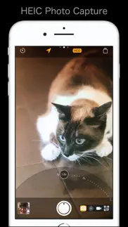 the simple camera iphone screenshot 2