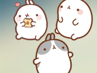 New Molang Stickers HD