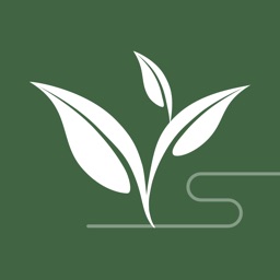 茗享-茶香四溢品味精致生活