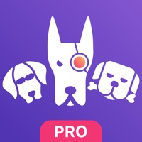 Моя статистика для ВК pour PC