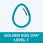 Golden Egg CFA® Exam Level 1 App Support