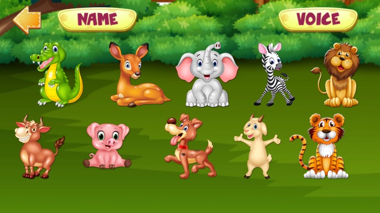 Smart Kids Preschool Education