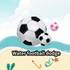 Water football dodge