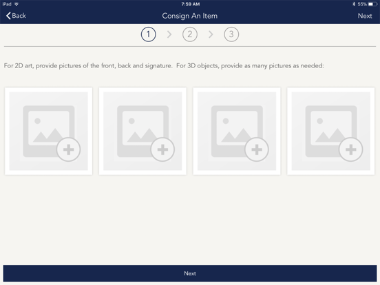 Eureka Auctions iPad screenshot