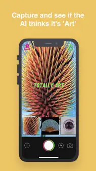 Art or Not iphone bilder 1