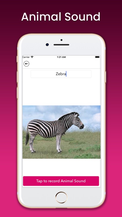 Animal Sound Learner