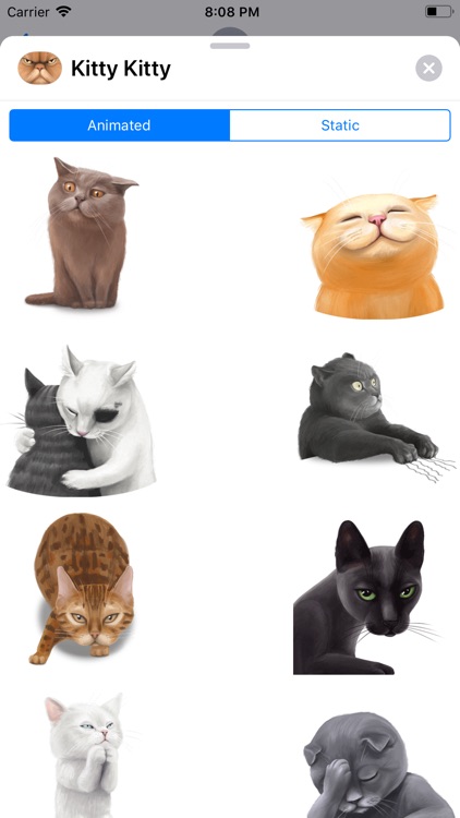 Cats.