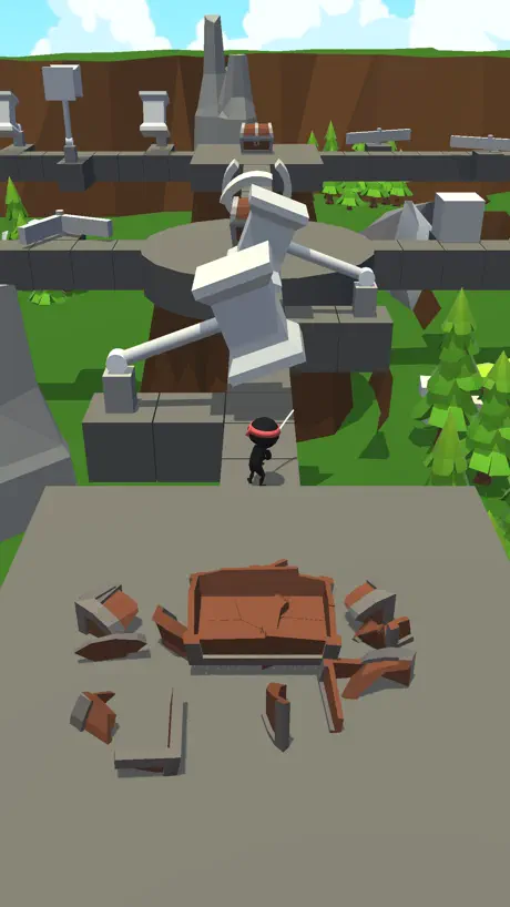 Crazy Ninja!
