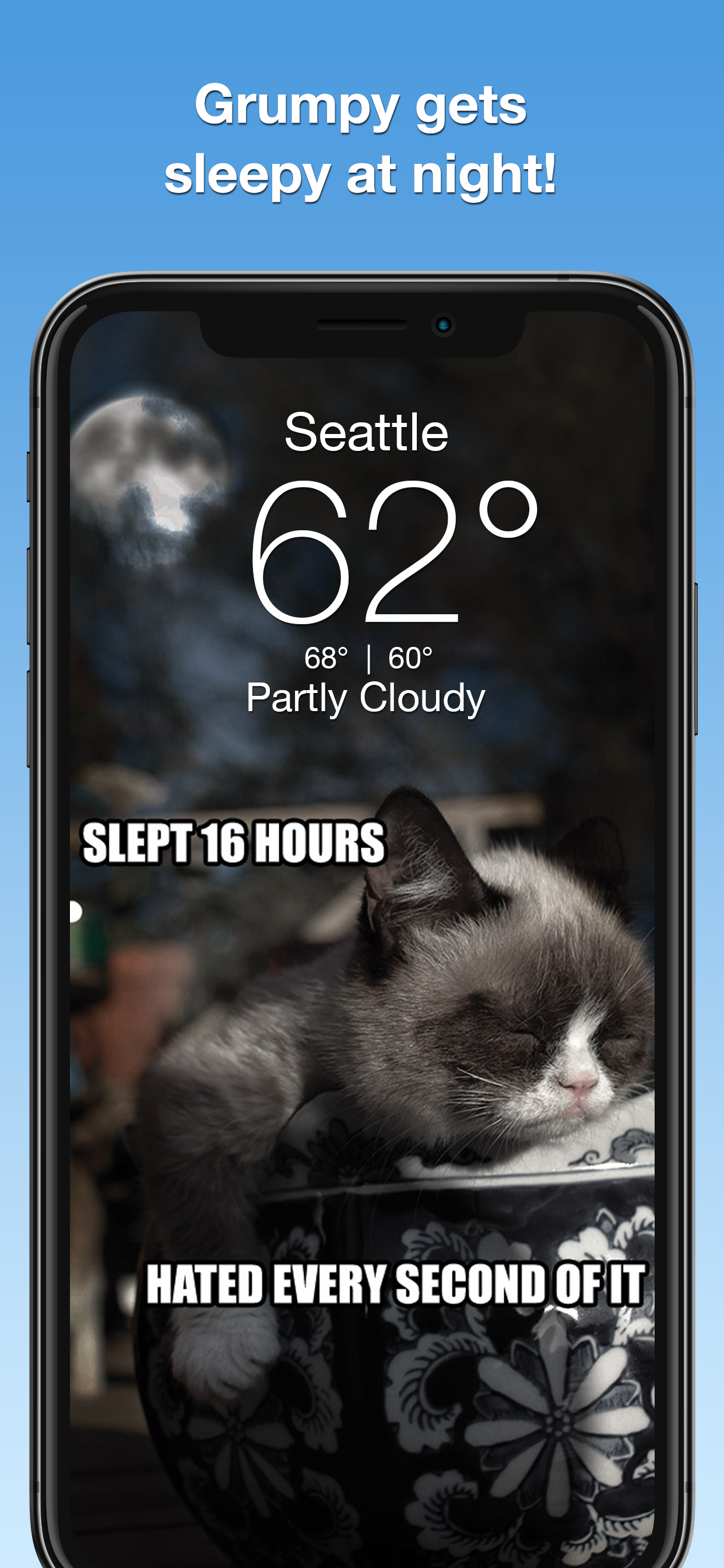 Grumpy Cat's Funny Weather